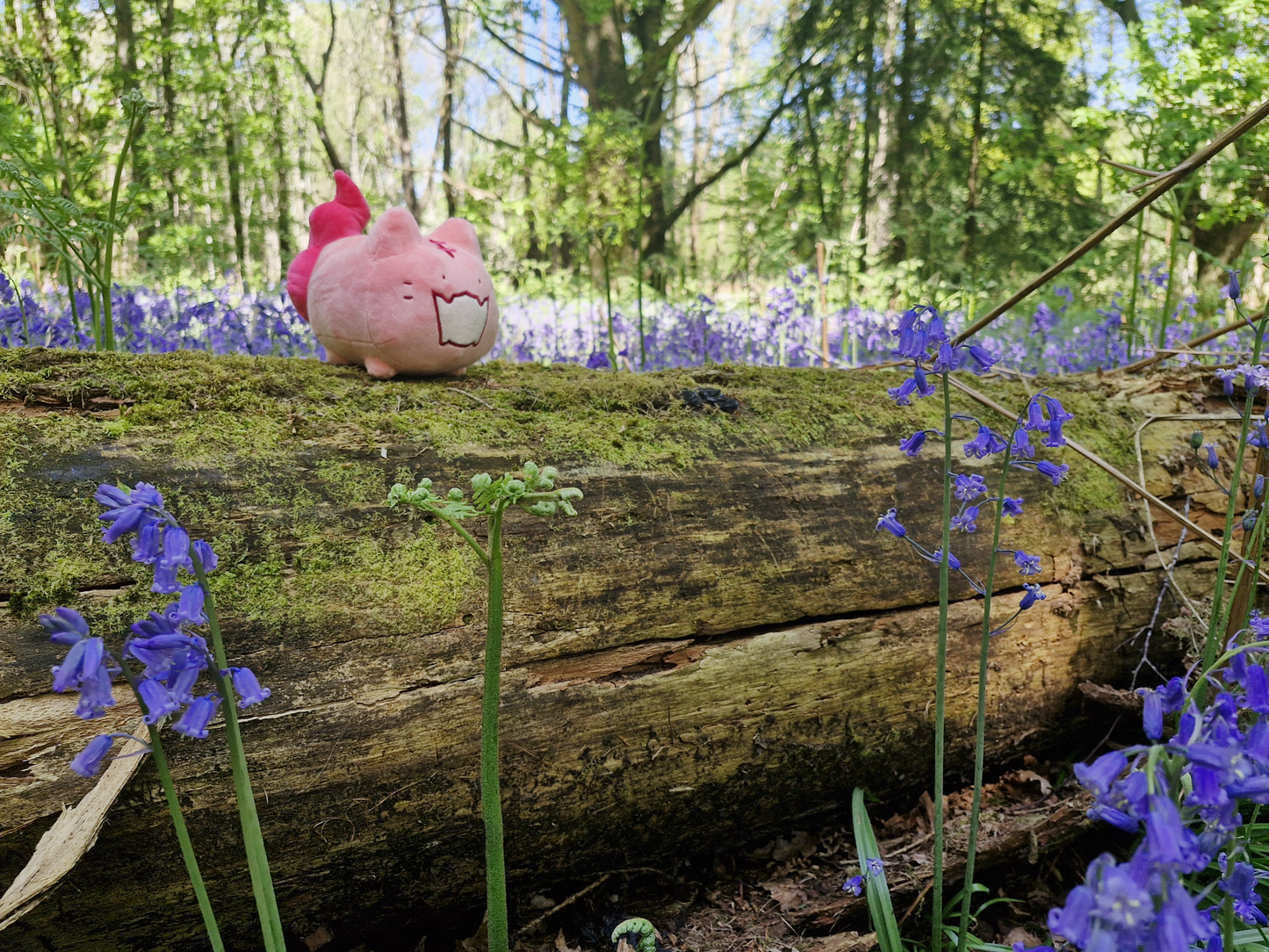 Torabi Plushie - PRE-ORDER