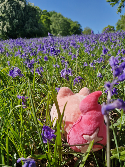 Torabi Plushie - PRE-ORDER